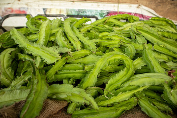 Close up of green fern leaves in local market