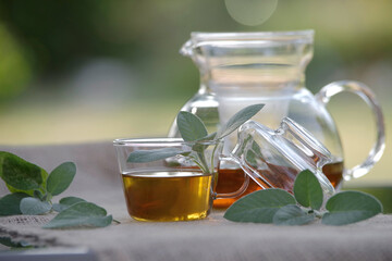 Echter Salbei  frischer Tee fein aufgebrüht gesundes aus der Teekanne - 621887253