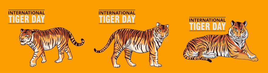 Fototapeta premium International tiger day vector illustration with tiger animals for salvation efforts and conservation