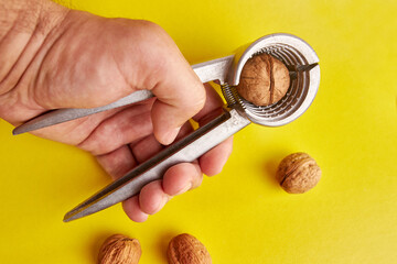 Walnuts are split with a nutcracker. Kitchen appliances for work in the kitchen.