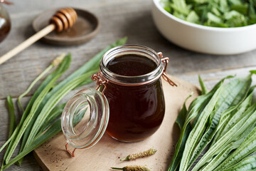 Ribwort plantain syrup in a jar on a wooden table © Madeleine Steinbach