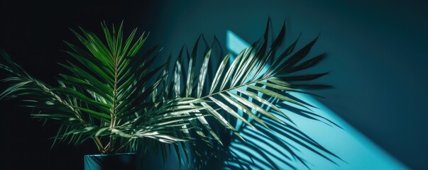 Banner blurred shadow from palm leaves on the blue wall. Minimal abstract background for product presentation. Ai generative.
