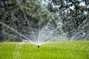 Watering the lawn in the park in the summer in the sun in Ukraine, green grass and water