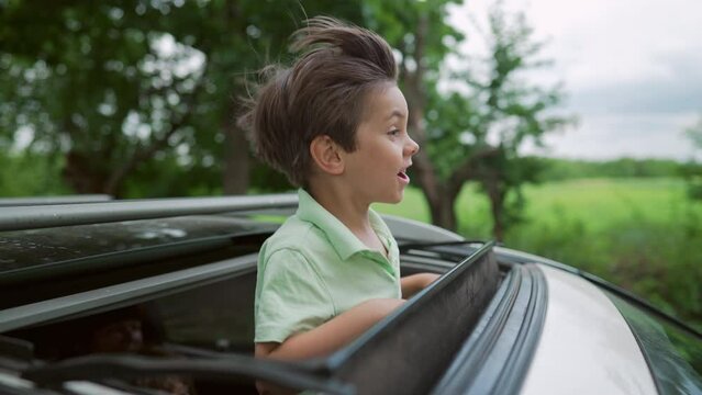 Funny happy little boy stands in open car sunroof during trip, summer. Childhood