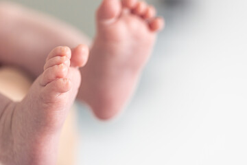 Obraz na płótnie Canvas Fingers of a newborn baby, macro shot.