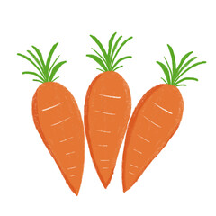 carrots isolated on white