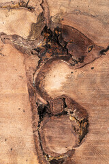 Contoured wood texture background surface