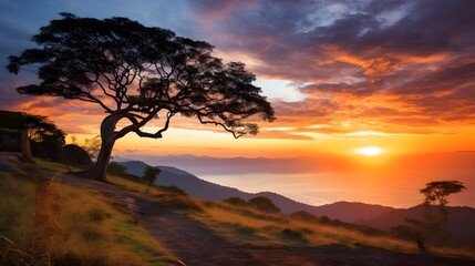 sunset rainforest panorama, jungle river with tropical vegetation in Colombia