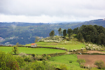 Lamego is a Portuguese city in the district of Viseu, North Region and sub-region of Douro.