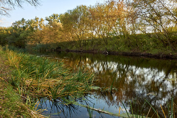 The autumn setting sun illuminates the forest river with a golden set, and the trees growing on the shore, a beautiful autumn landscape