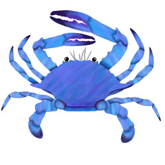 blue crab