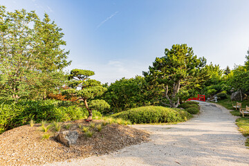 Jardin japonais en été à Dijon. Japanese garden in summer in Dijon.