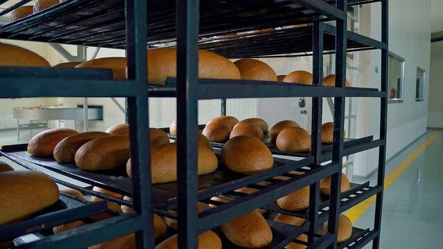 Nice shot at a bread factory.