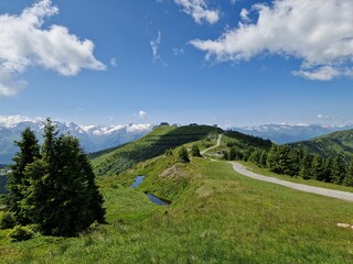 Wandern auf der Schmittenh&ouml;he im Sommer