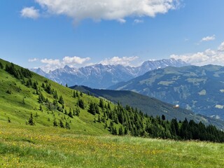 Fototapeta na wymiar Wandern auf der Schmittenhöhe im Sommer