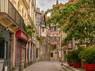 A view of the place and street saint amand, in the historic center of rouen, with shop fronts and a beautiful mimosa tree
