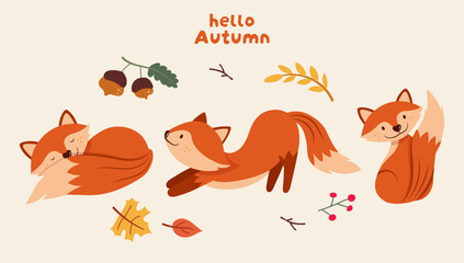Foxes different actions with Autumn concept