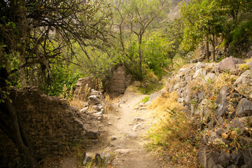 Hiking through the Colca Canyon following the route from Cabanaconde to the Oasis.