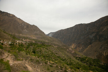 Hiking through the Colca Canyon following the route from Cabanaconde to the Oasis.