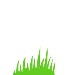 Crested Grass And Seamless Horizontal Green Grass Vector