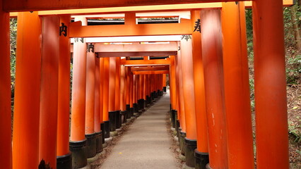 京都神社鳥居 - obrazy, fototapety, plakaty