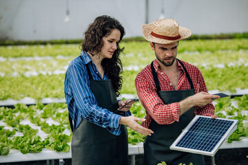 Veggie farm owners assess potential of installing solar panels to improve resource efficiency and save electricity costs. Environmentally friendly, budget-conscious of material prices, gear selection