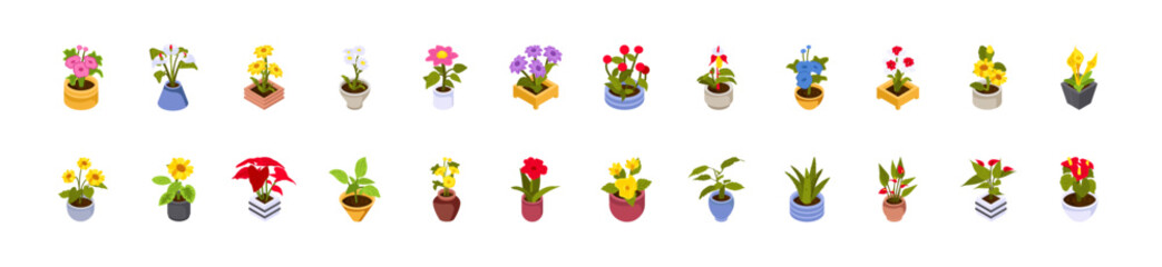 Home plants in flowerpot. Houseplants isolated. Trendy style, urban jungle decor. Hand drawn set collection. Green, poster, banner. Logo, label, Icons, Illustration.	
