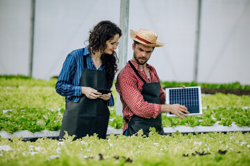 Fototapeta premium Veggie farm owners assess potential of installing solar panels to improve resource efficiency and save electricity costs. Environmentally friendly, budget-conscious of material prices, gear selection