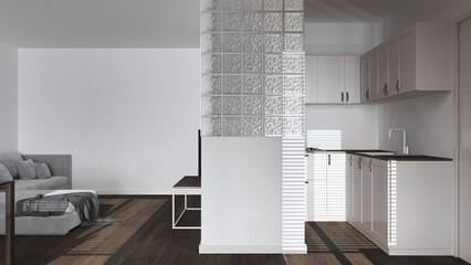 Modern scandinavian kitchen and living room in white tones. Velvet sofa, glass block wall. Cabinets and appliances. Minimal dark wooden interior design