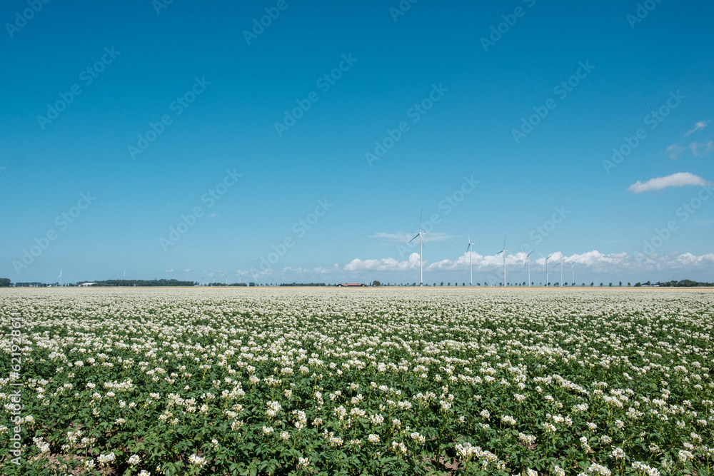 Sticker Aardappelveld in Flevoland