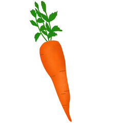  carrot