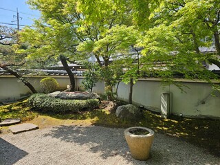 Japanese garden