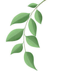 Greenery elements trees leaves.designed for digital use decoration, website, page and general digital work