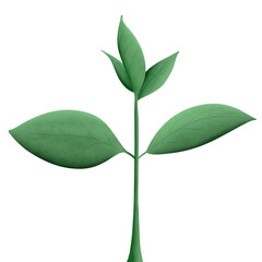 Greenery elements trees leaves.designed for digital use decoration, website, page and general digital work