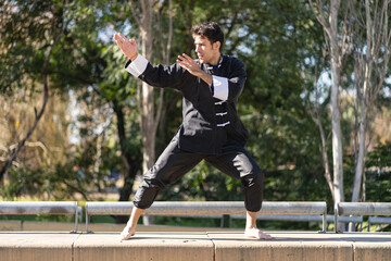 Young man practicing Kung Fu in the park