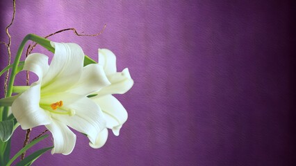 Beautiful flowers background. Background. Wallpaper illustration. Front view with copy space for text or content information. Concept of friendship, love, greeting card.