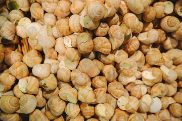 Frozen snails. Close-up.