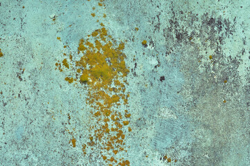 Grey, Abstract background of the shabby concrete wall surface with bright red yellow paint and mossy weathered parts