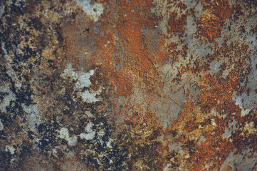 Grey, Abstract background of the shabby concrete wall surface with bright red yellow paint and mossy weathered parts