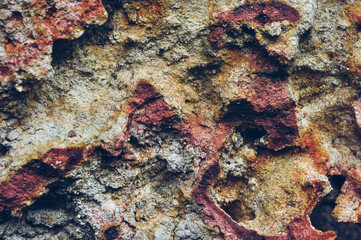 Fototapeta na wymiar Grey, Abstract background of the shabby concrete wall surface with bright red yellow paint and mossy weathered parts
