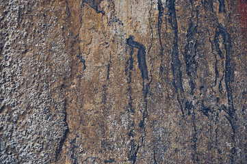 Grey, Abstract background of the shabby concrete wall surface with bright red yellow paint and mossy weathered parts