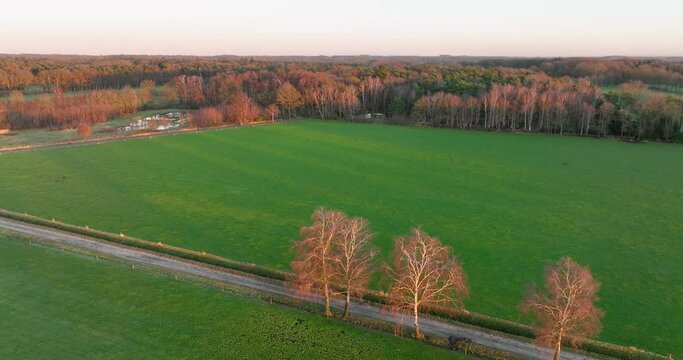 Aerial view of unpaved road with birches, meadows and forest, Enschede, Twente, Overijssel, The Netherlands.