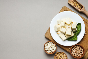 Traditional component of Asian cuisine - Tofu, bean curd