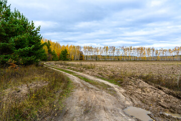 Fototapeta premium Rural road on an autumn day. Autumn road through a rural field landscape