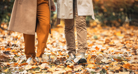 Portrait of people's legs that are walking on leaves in the park in the autumn