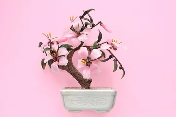 Schilderijen op glas Artificial sakura bonsai tree on ceramic pot with pink background. Glass cherry blossom for home decor. Spring flower branch in scandi style interior. Hygge design. Zen, relax concept. Copy space © Lidia