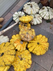 pumpkins on the ground