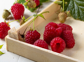 Ripe organic raspberries in a wooden box