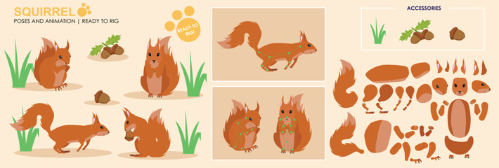 Red Squirrel ready to animate with multiple poses and angles. Cut woodland creatures rig ready, running, sitting, eating. Collection vector set character for animation 