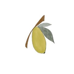 Bio lemon. Fresh, vitamin ,diet ,juicy.Print , abstract, minimalism , doodles fruit. 